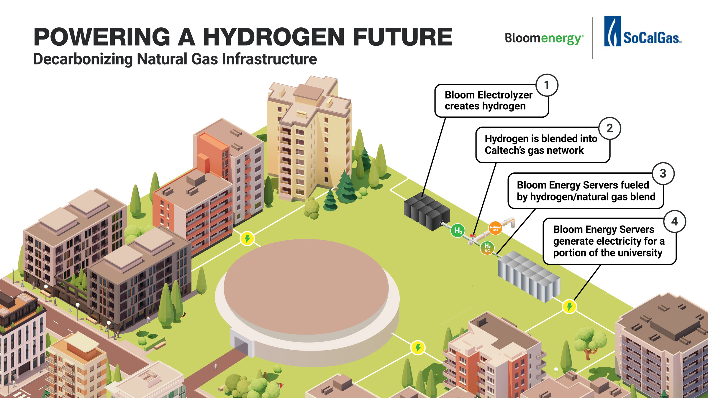 Powering the Hydrogen Future