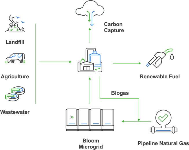 Waste to Renewable Fuel