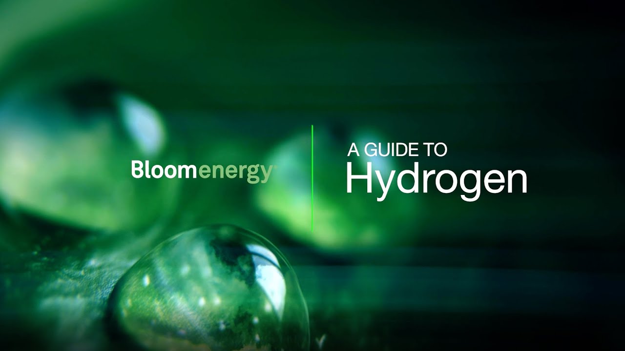 The Bloom Guide to Hydrogen