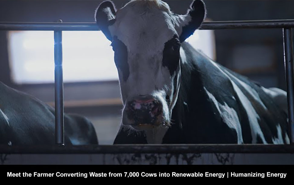 Meet the Farmer Converting Waste from 7,000 Cows into Renewable Energy | Humanizing Energy