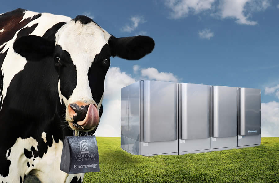 We teamed up with CalBio to turn dairy waste into renewable energy