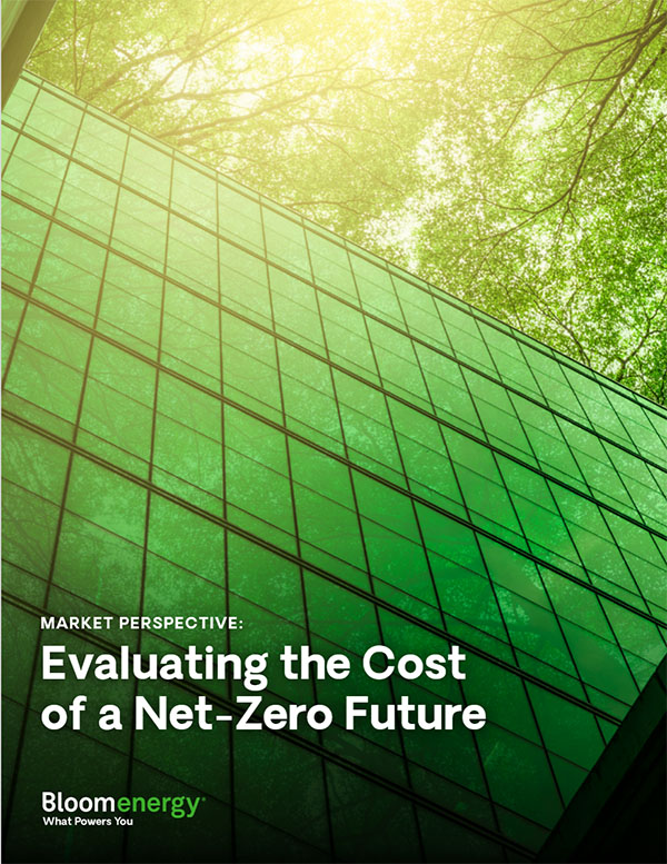 The Cost of a Net-Zero Future