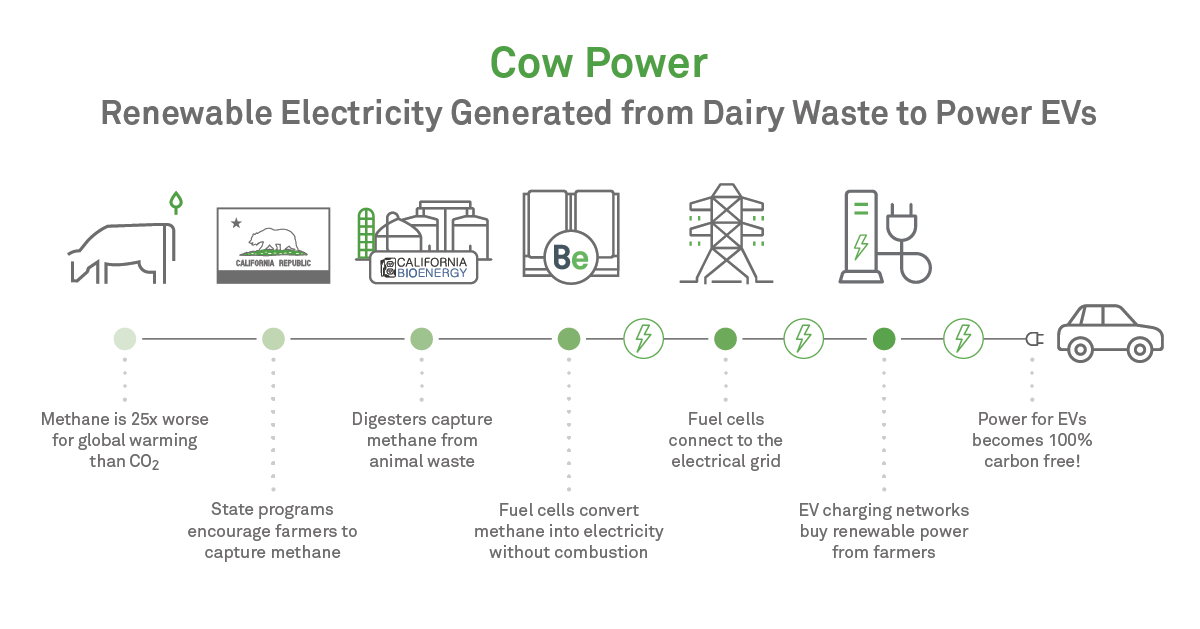 Cow Power - How it Works