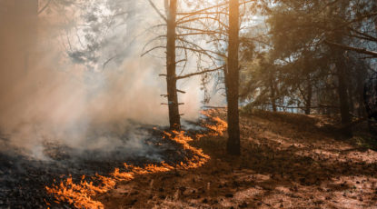 How to Keep Your Business Running During California Wildfire Season
