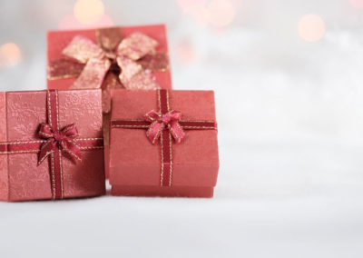 12 Eco-Friendly Gifts for a Greener Holiday Season